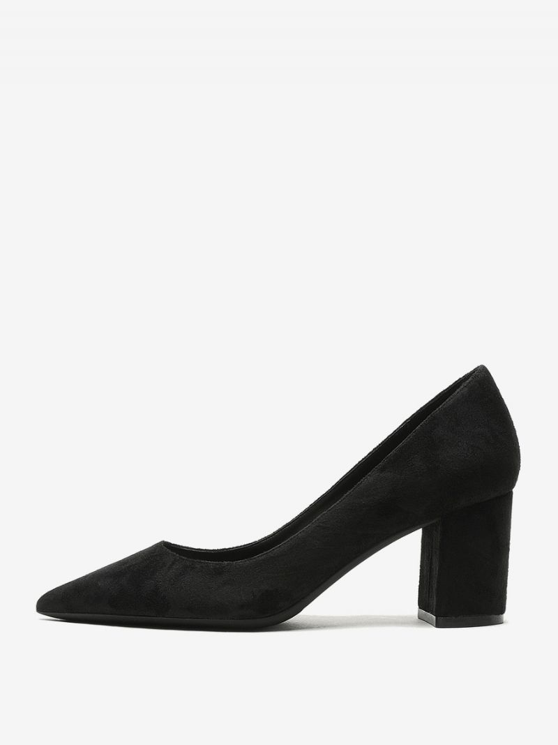 Dame Ruskind Block Heel Pumps Brun Spidstå Slip On Heels - Sort