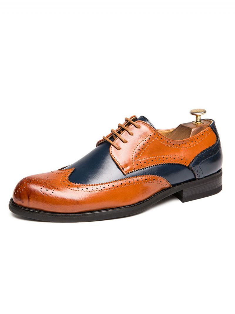 Mænds Color Block Wingtips Kjole Sko Derby - Kaffe Brun