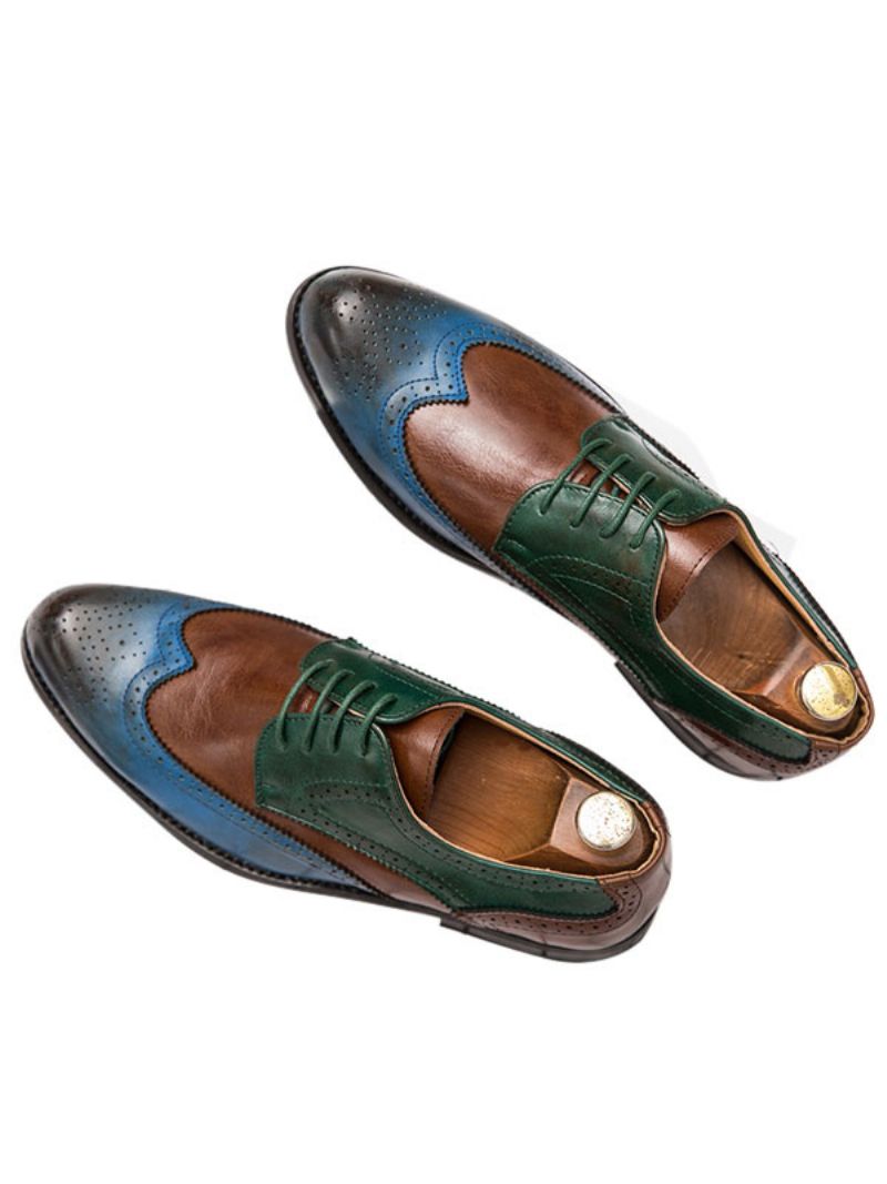 Mænds Color Block Wingtips Kjole Sko Derby - Blå